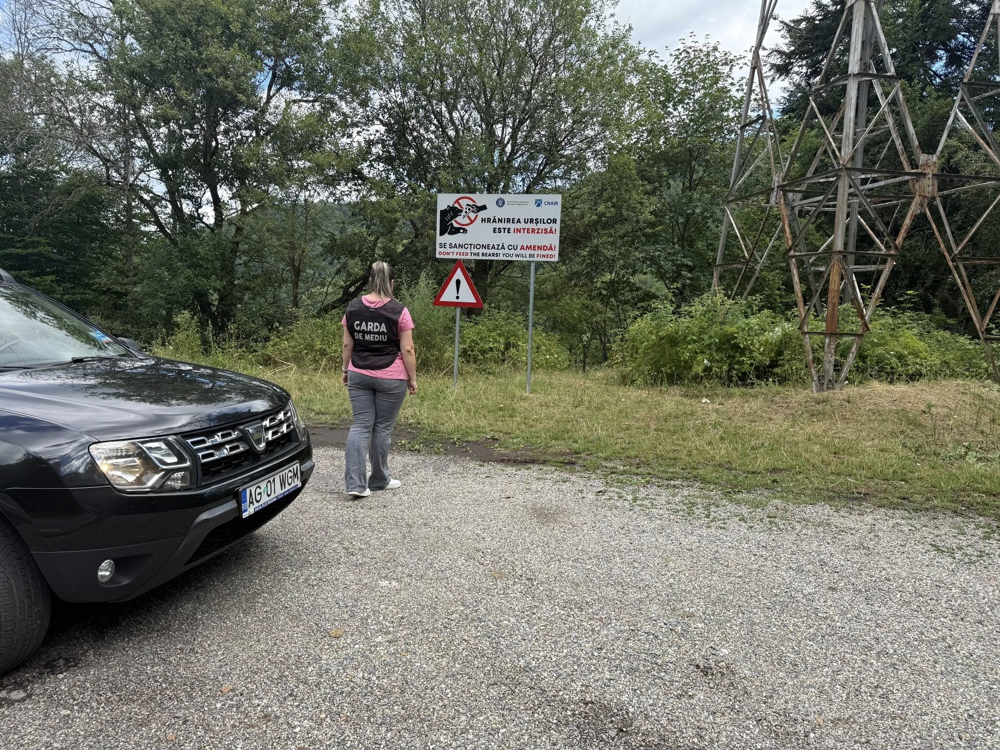 Megharapta a medve, majd meg is bírságoltak egy turistát a Transzfogarasi úton