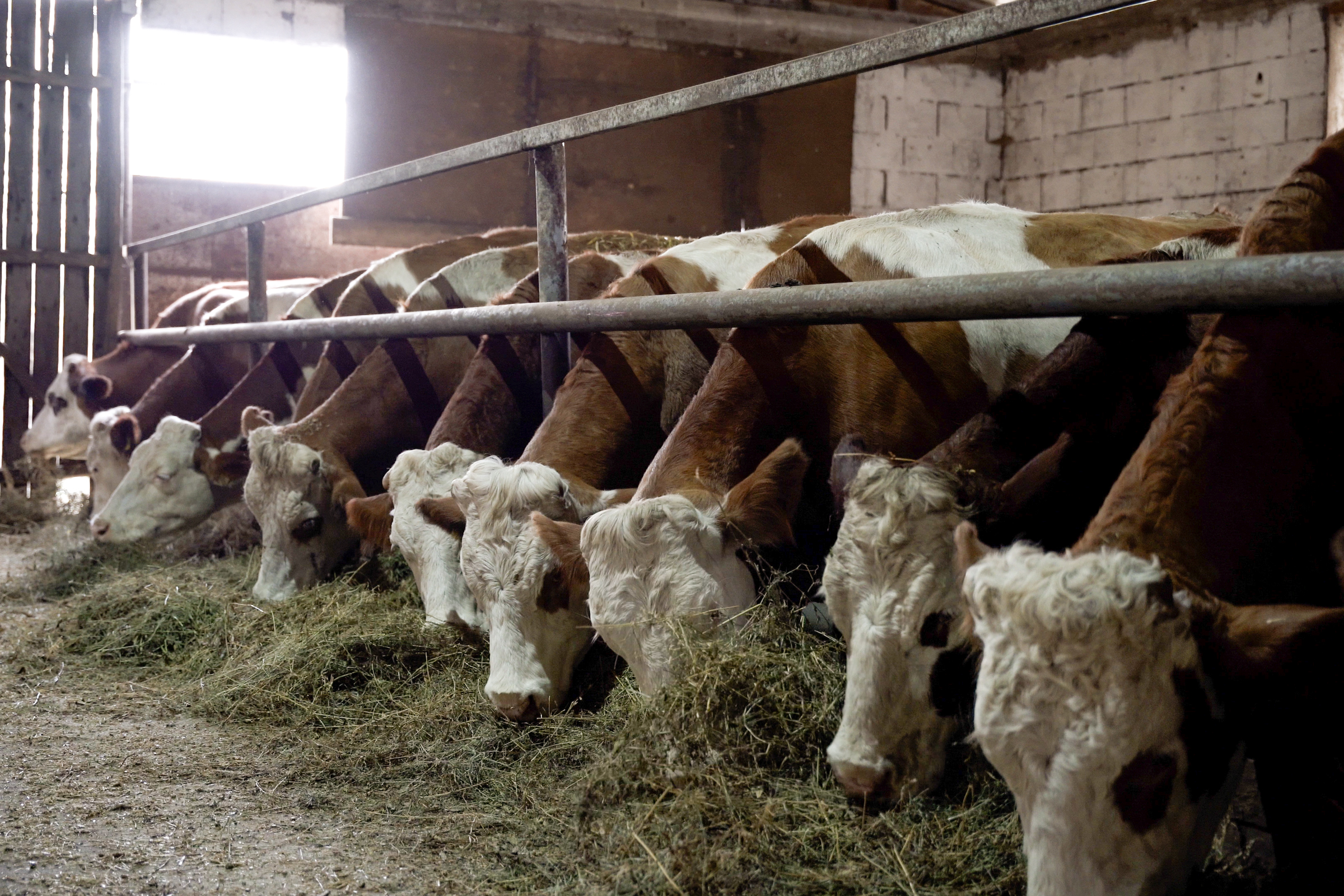 Tánczos Barna: több mint 180 millió euró átmeneti támogatáshoz jutnak a gazdák