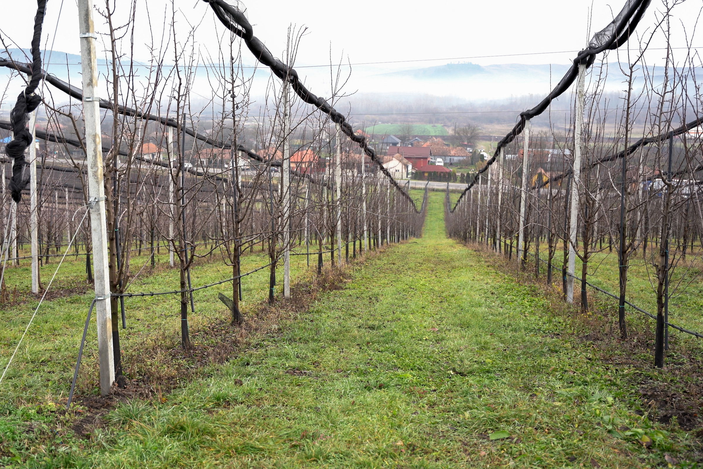 Agrometeorológiai előrejelzés: kedvező a helyzet a földeken, de jönnek a fagyos éjszakák