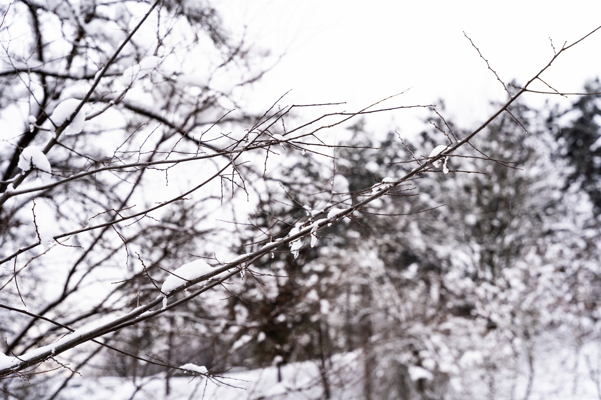 Erős szélre és havazásra figyelmeztető azonnali előrejelzéseket adtak ki több megye hegyvidéki területeire