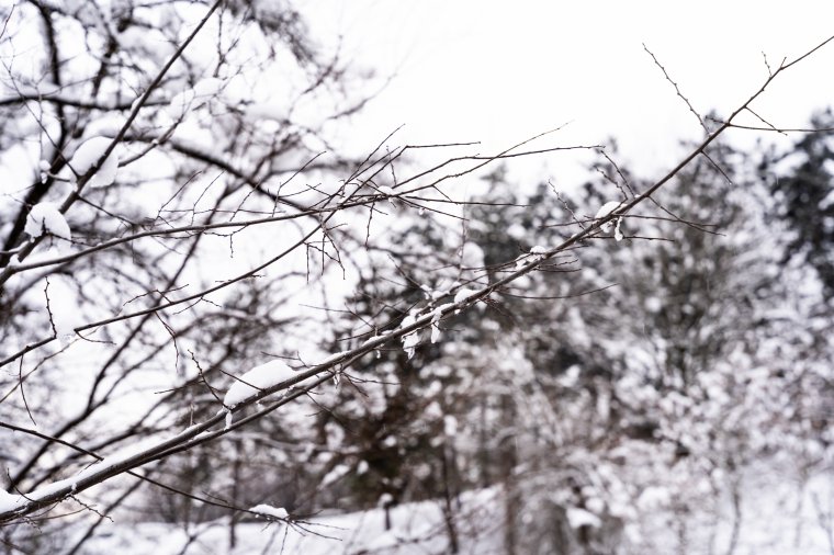 Erős szélre és havazásra figyelmeztető azonnali előrejelzéseket adtak ki több megye hegyvidéki területeire