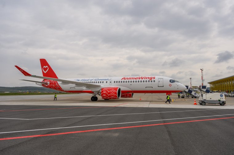 Töröltek több Animawings-járatot a repülőgépek meghibásodása miatt