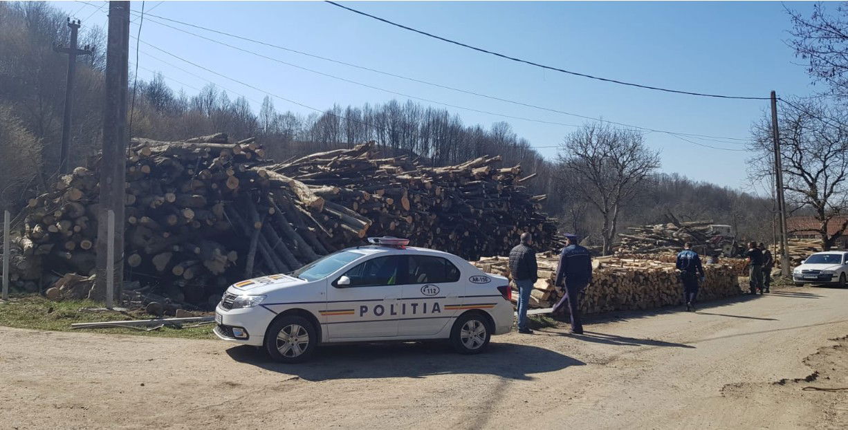 Erdészeti bűncselekmények: teherautót koboztak el, fatolvajt vettek őrizetbe Bihar megyében