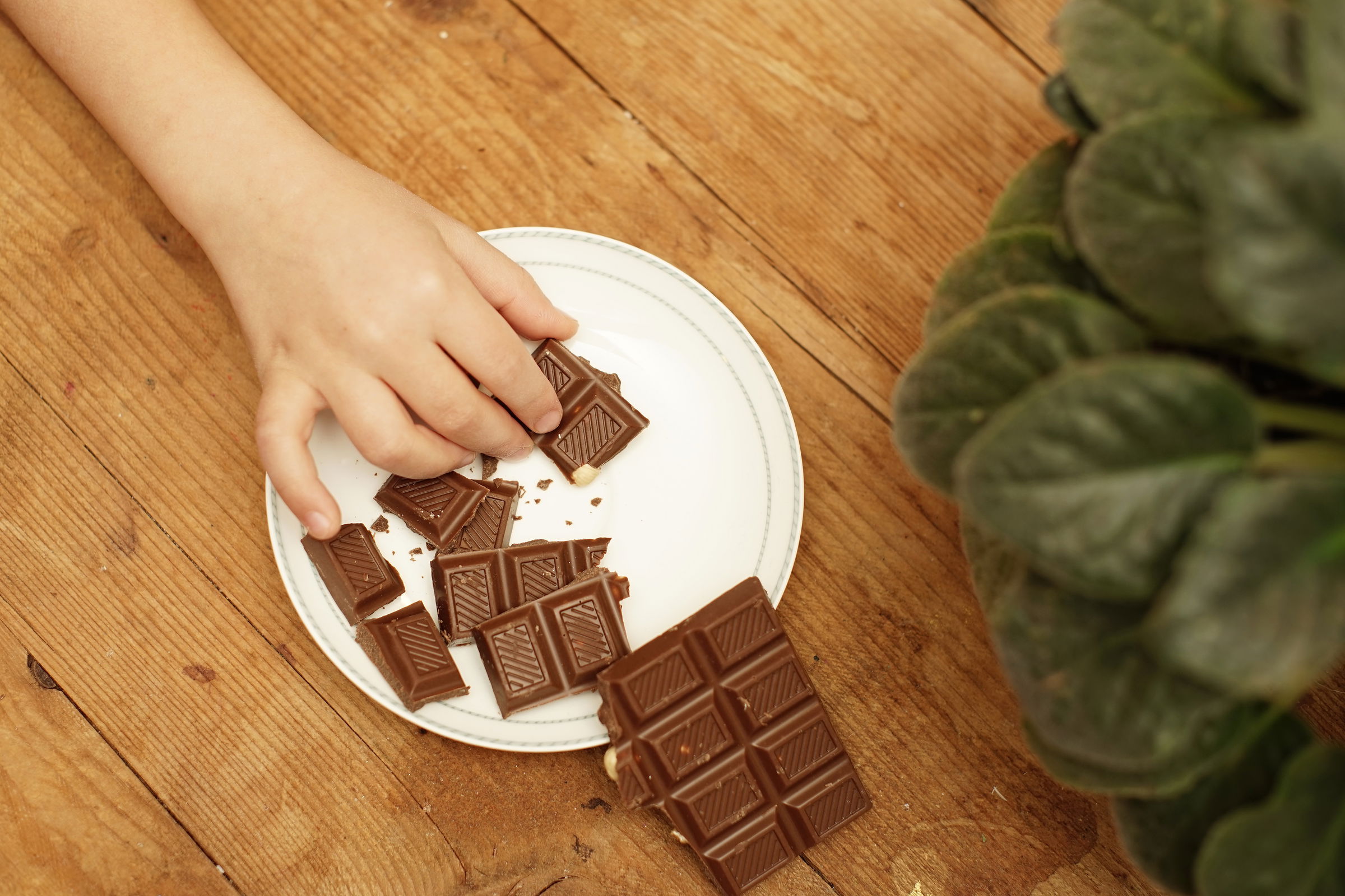 Ünnepi sokk: a csokoládé ára nem csökken, pedig a kakaóé már bezuhant