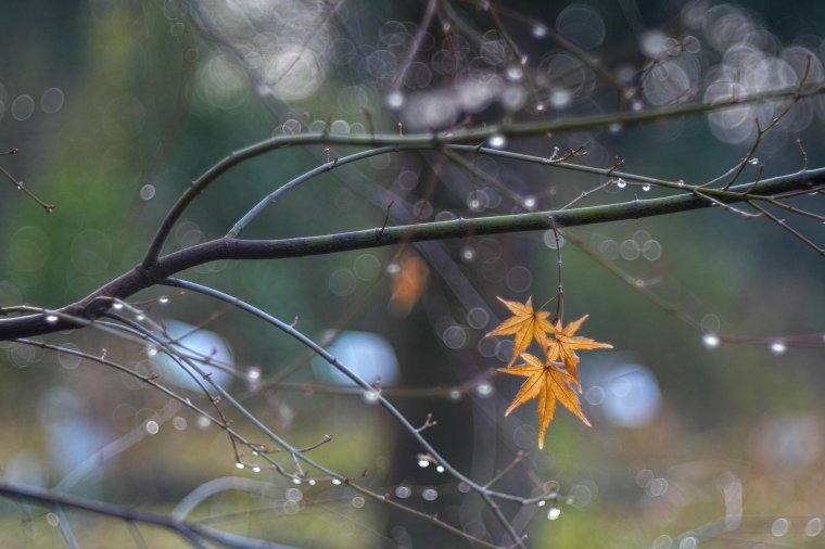 Lehűl az idő a következő napokban: esőre, havas esőre, havazásra lehet számítani vasárnapig