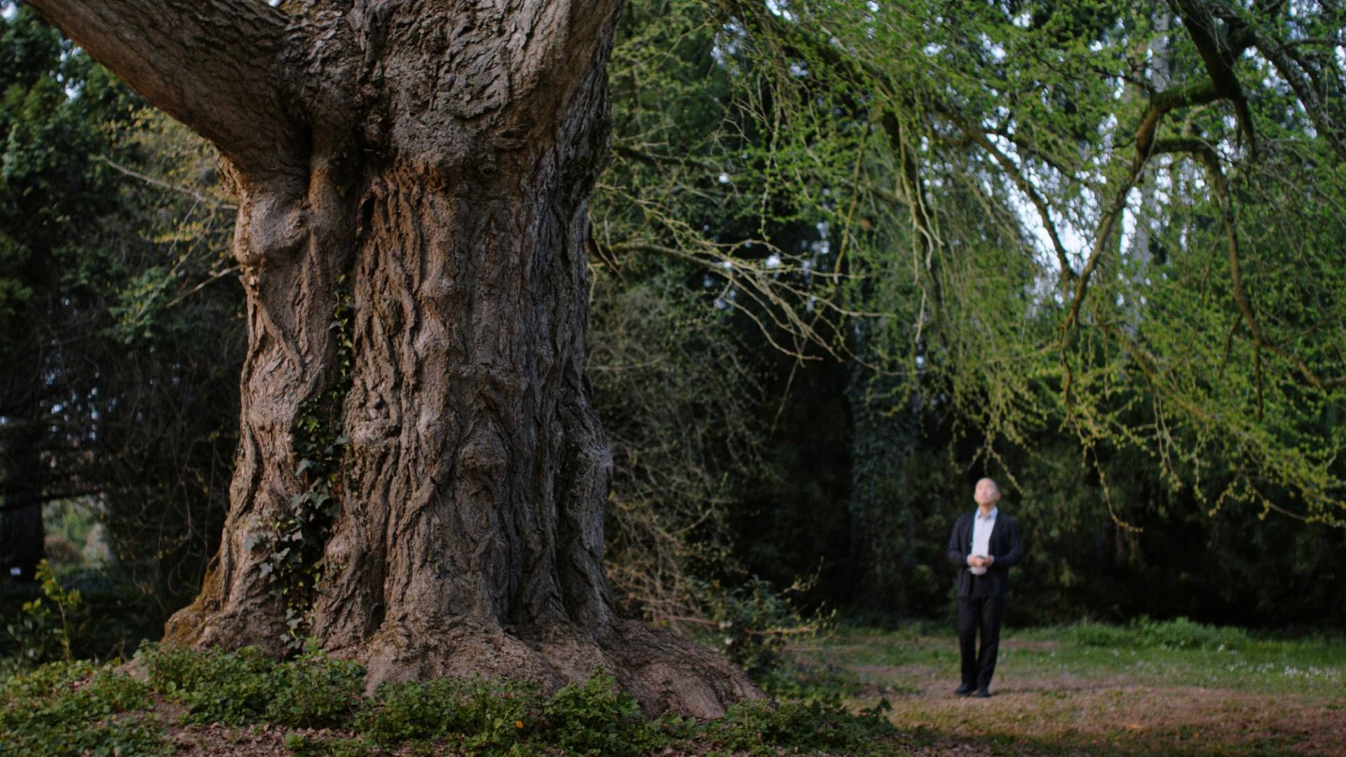 Enyedi Ildikó legújabb filmjét is levetítik a jubiláló Filmtettfeszten