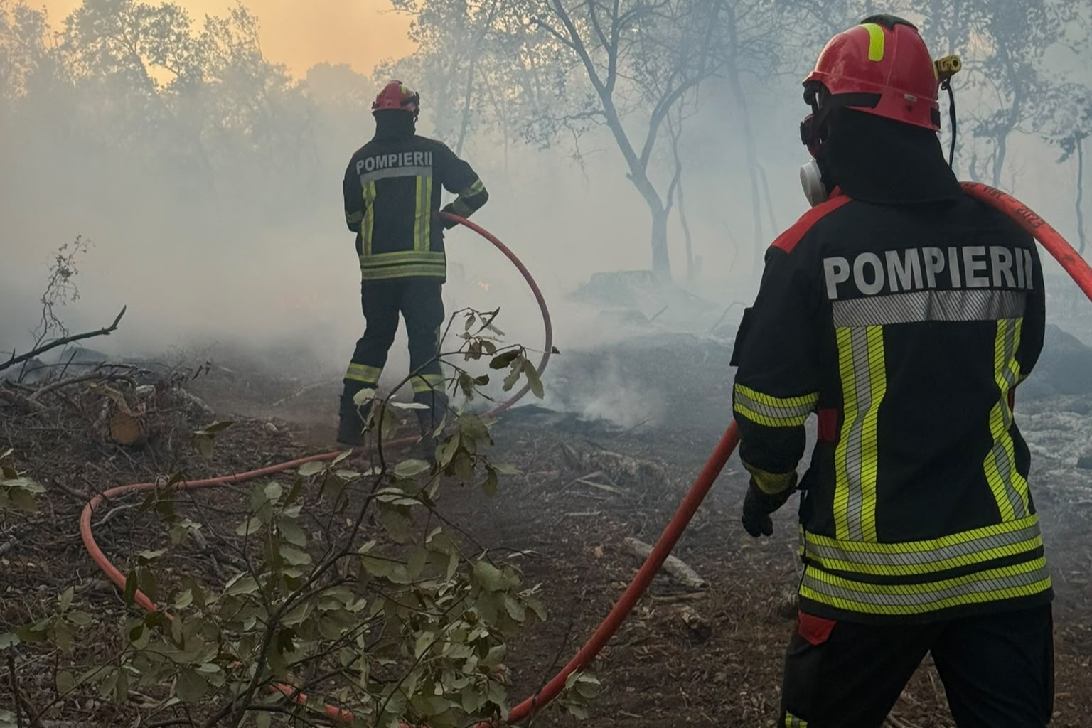 Rekordszámú bevetés a hőségben: szerdán 51 alkalommal riasztották a Bihar megyei tűzoltókat