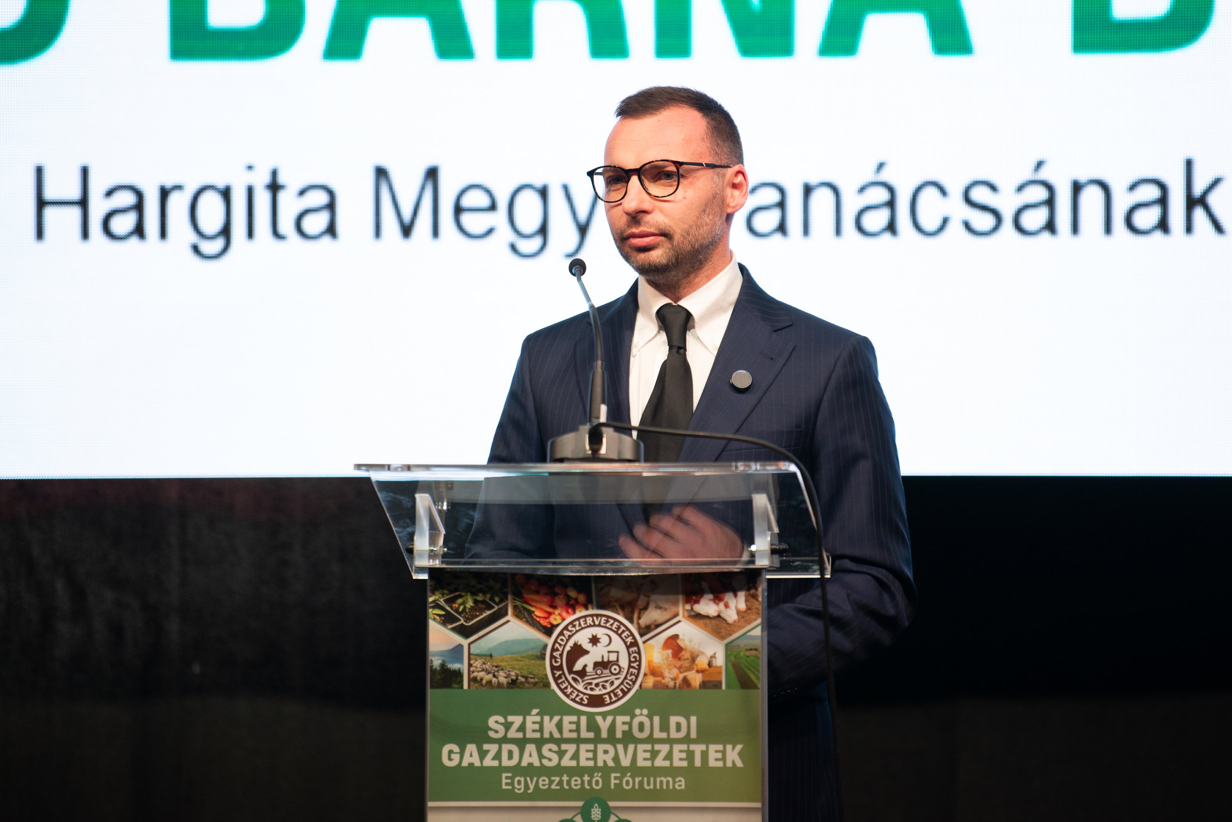 Székelyföldi politikus: az erdélyi és a magyarországi magyarok más-más tapasztalatok alapján döntöttek a választáson