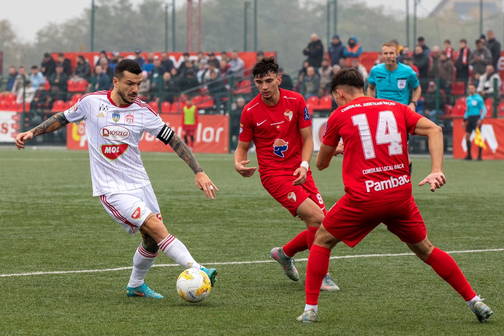 Elnyelt két Sepsi-pontot a munténiai mocsár (videóval)