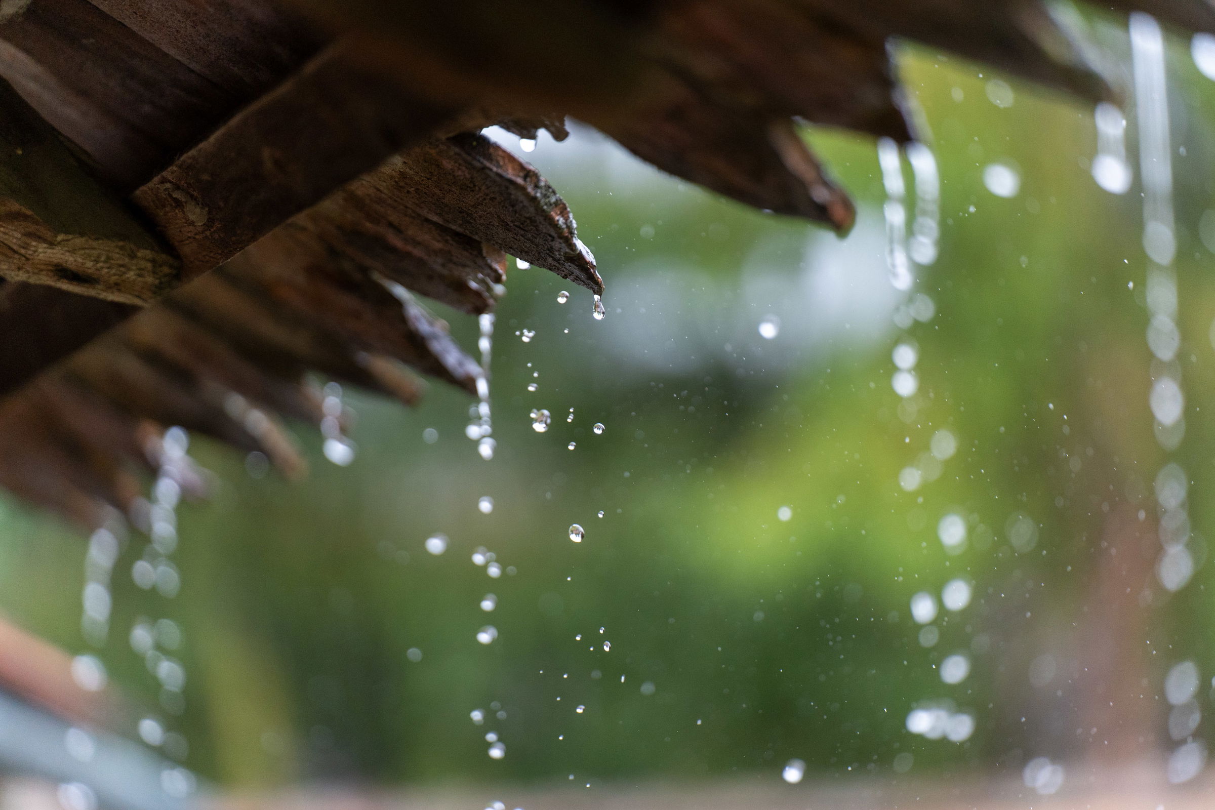 Heves viharok várhatók Kelet-Erdélyben, Moldvában és Munténiában