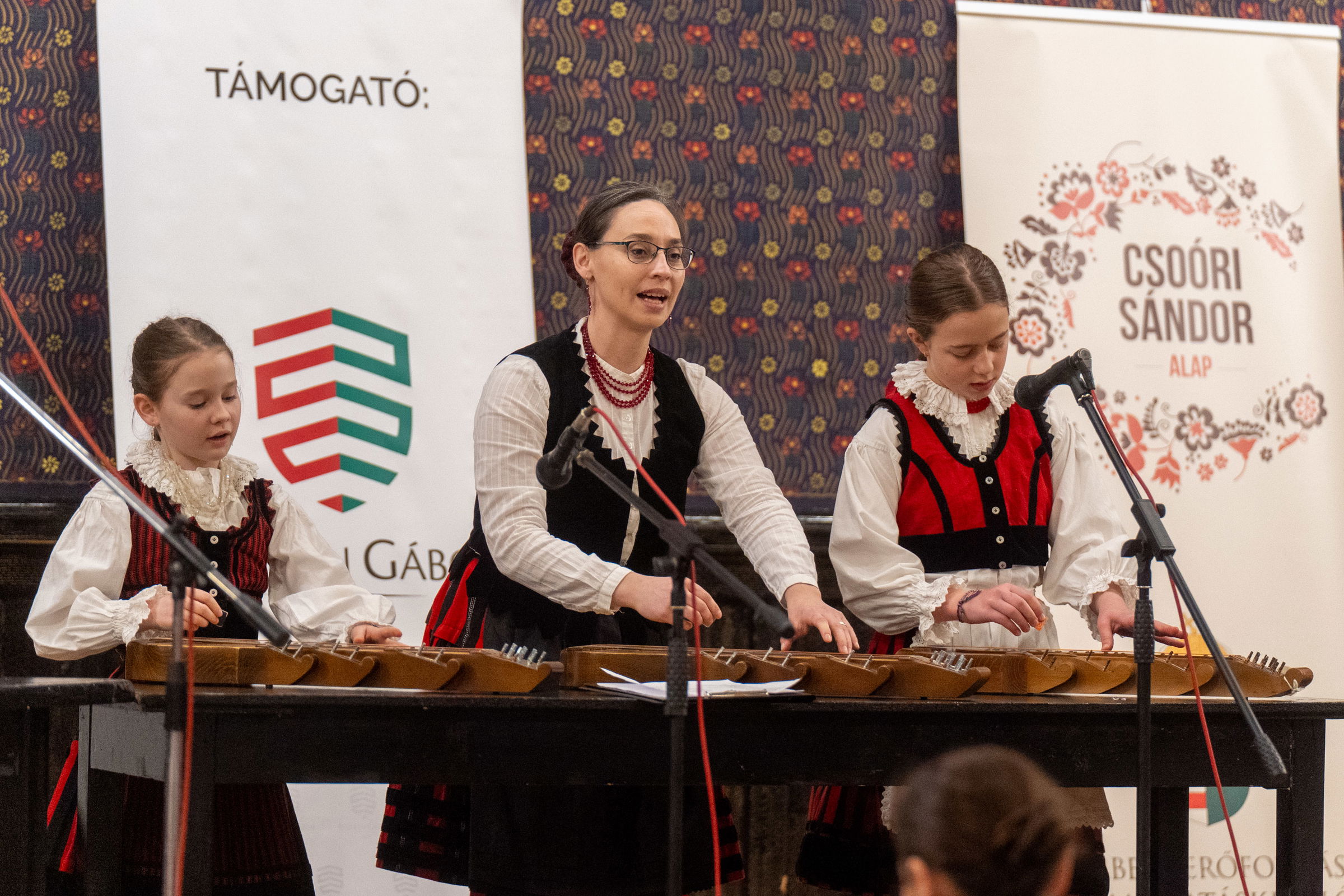 A szegények hangszeréből hungarikum: újra hódít a citera Erdélyben